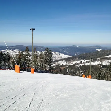 Apartment Stylish Flat In The Vosges With Terrace Overlooking The Mountains, Clo Gerardmer