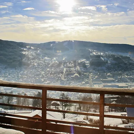 Apartment Stylish Flat In The Vosges With Terrace Overlooking The Mountains, Clo *